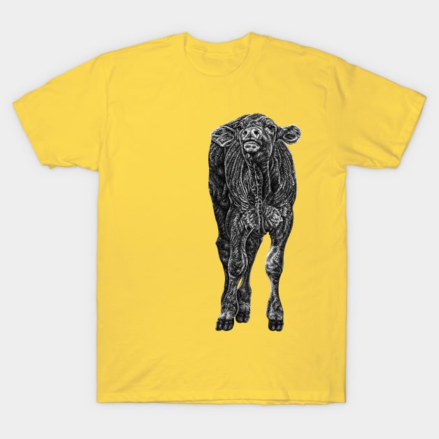 South Devon baby cow calf T-Shirt by lorendowding